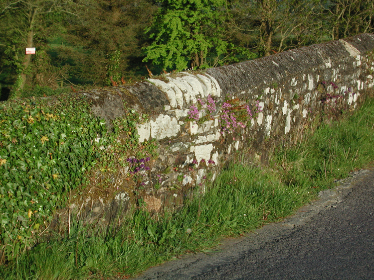 Bandon River Bridge.jpg 582.0K